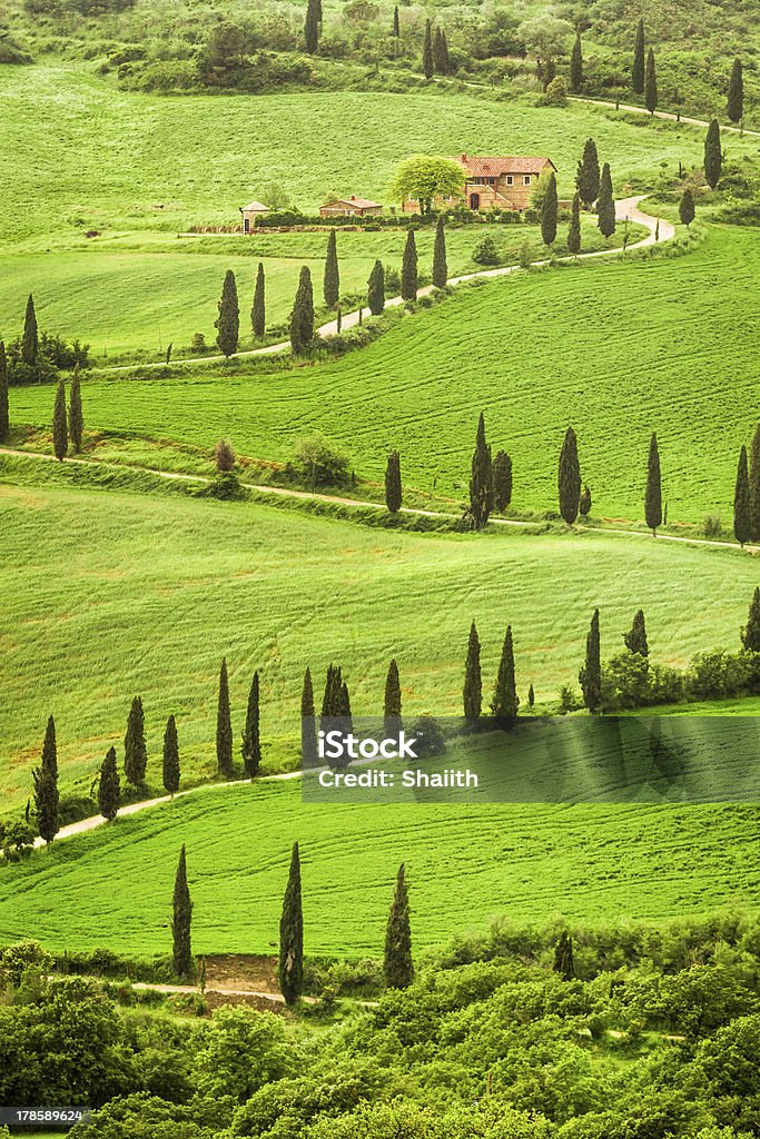 Kurvenreiche Straße agritourism in Italien auf dem Hügel der Toskana - Lizenzfrei Agrarbetrieb Stock-Foto