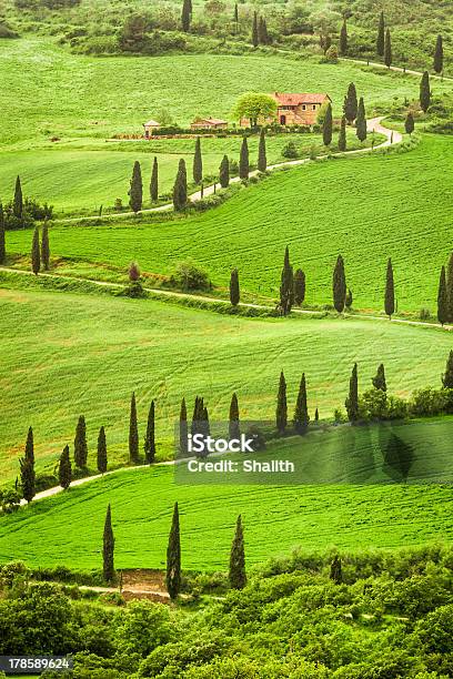 Kurvenreiche Straße Agritourism In Italien Auf Dem Hügel Der Toskana Stockfoto und mehr Bilder von Agrarbetrieb