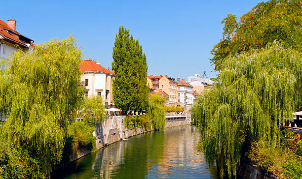 istock Ljublana in Slovenia 178590284