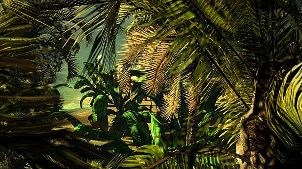 istock Hawaiian sunset in tropical paradise 178590357