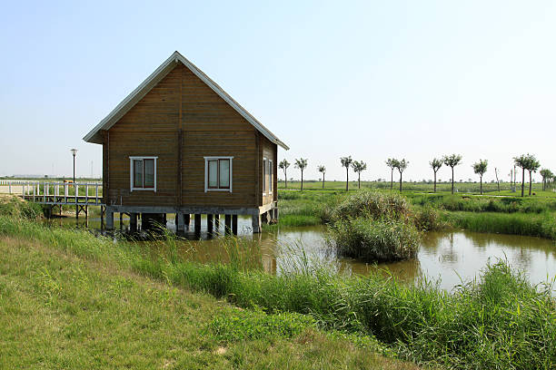 istock wood house in the pool 178590376