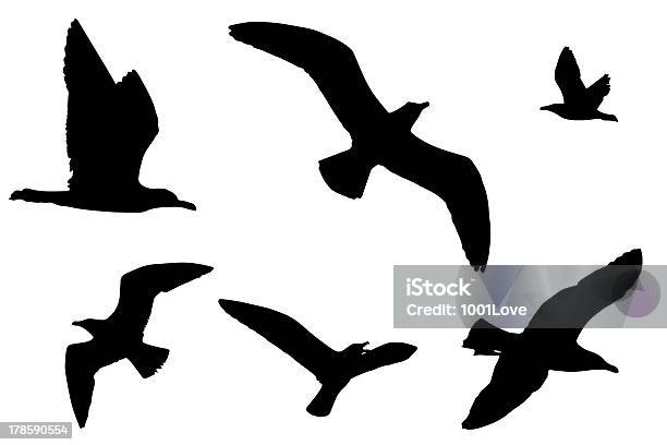 Sea Gulls Silhouettes Stock Photo - Download Image Now - In Silhouette, Seagull, Above