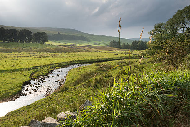 Yorkshire Dales fiume - foto stock