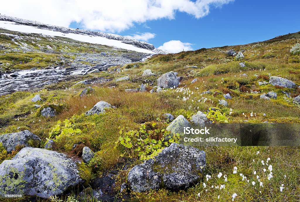 Cascadas, rocas, cottongrass, vegetación en otoño color y la primera nieve - Foto de stock de Agua libre de derechos