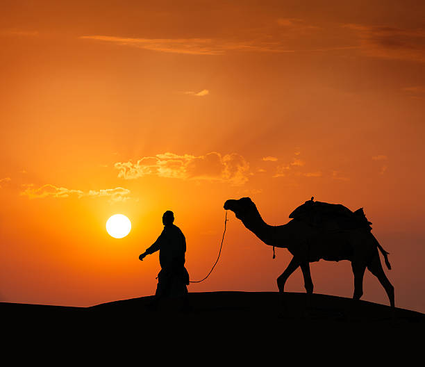 istock Cameleer (camel driver) with camels in dunes of Thar desert 178591401