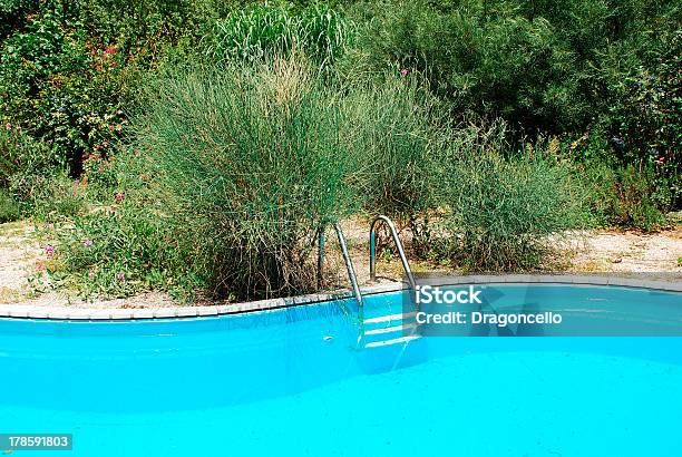Piscina Con Casquillos Foto de stock y más banco de imágenes de Agua - Agua, Aire libre, Arbusto