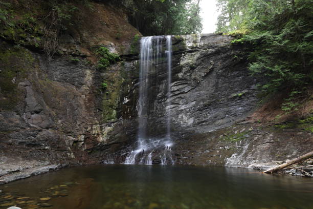 istock Ammonite Falls  Vancouver Island Canada 1785918648