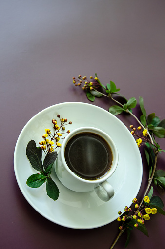 Composition a cup of coffee and on a round saucer lies a twig with small yellow flowers and leaves