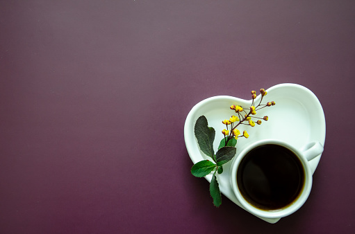 Flatlay A cup of coffee and on a saucer in the shape of a heart lies a twig with small yellow flowers and leaves in the lower corner, Flat lay white on a dark purple background