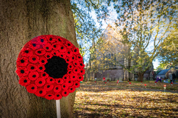 Remembrance day  poppy