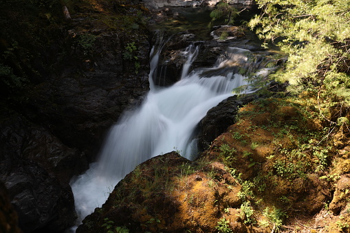 Little Qualicum Falls- Provincial Park  (Vancouver Island) Canada