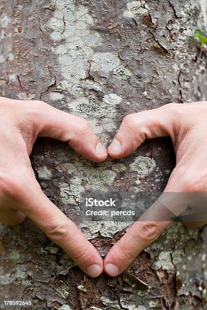 Hand In Herzform Auf Einem Baumstamm Stockfoto und mehr Bilder von Apfelbaum - Apfelbaum, Arbol-Chili, Baum