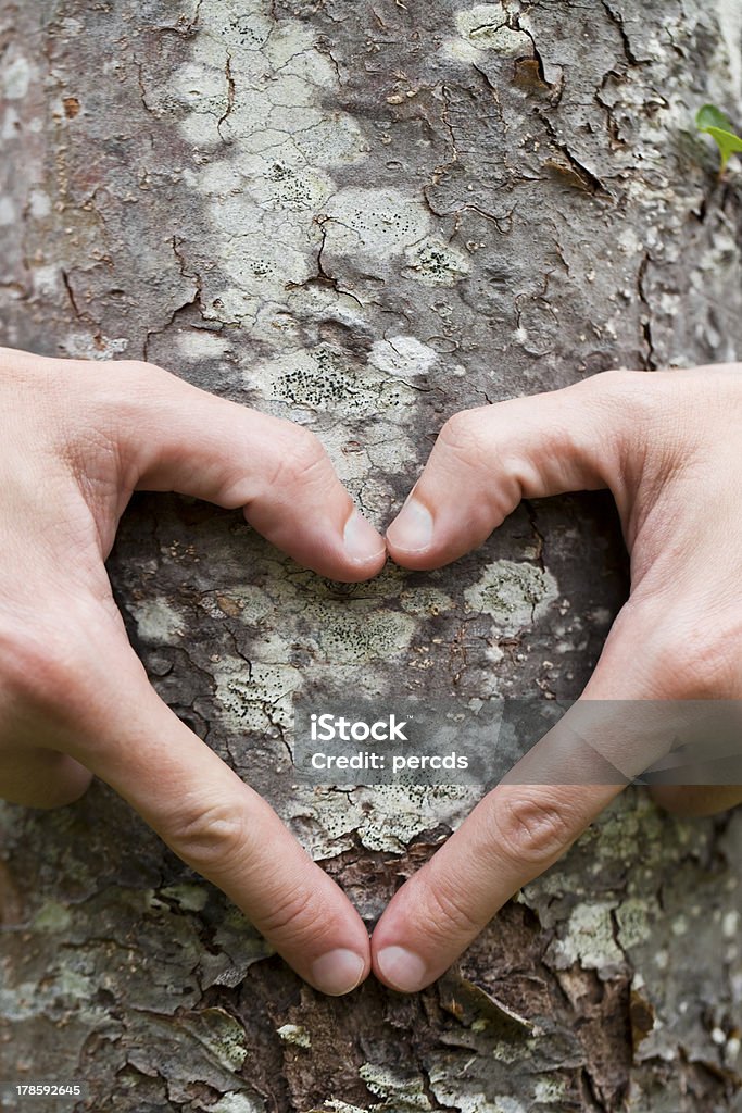 Mani a forma di cuore su un tronco d'albero. - Foto stock royalty-free di Abbracciare una persona