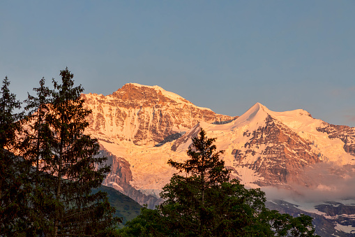 the summit of the jungfrau and the silberhorn above wengen switzerland at sunset