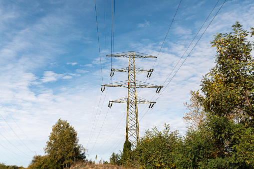 Electricity pylon among trees