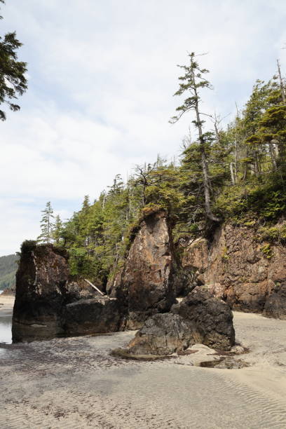 istock Cape Scott Provincial Park - Sea Stacks at San Josef Bay (Vancouver Island) Canada 1785936685