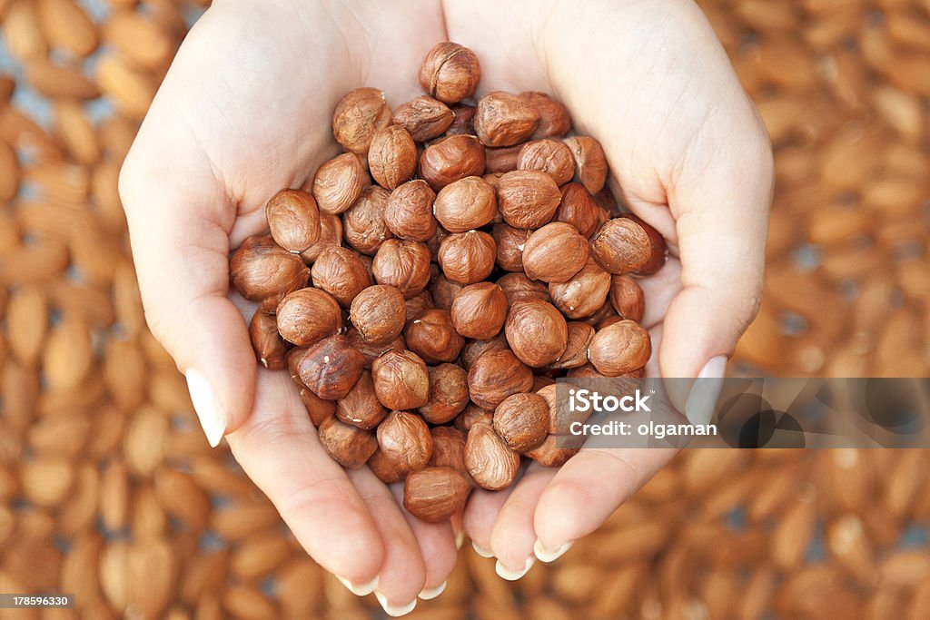 Avellana en las manos - Foto de stock de Alimento libre de derechos