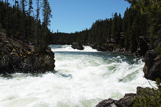 istock Grand Canyon of Yellowstone 178596969