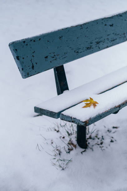 istock Autumn leaf on freshly fallen snow on an empty park bench 1785976592