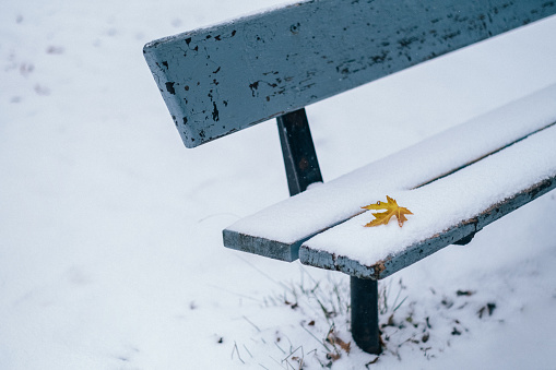 A yellow autumn leaf on freshly fallen snow on an empty park bench
