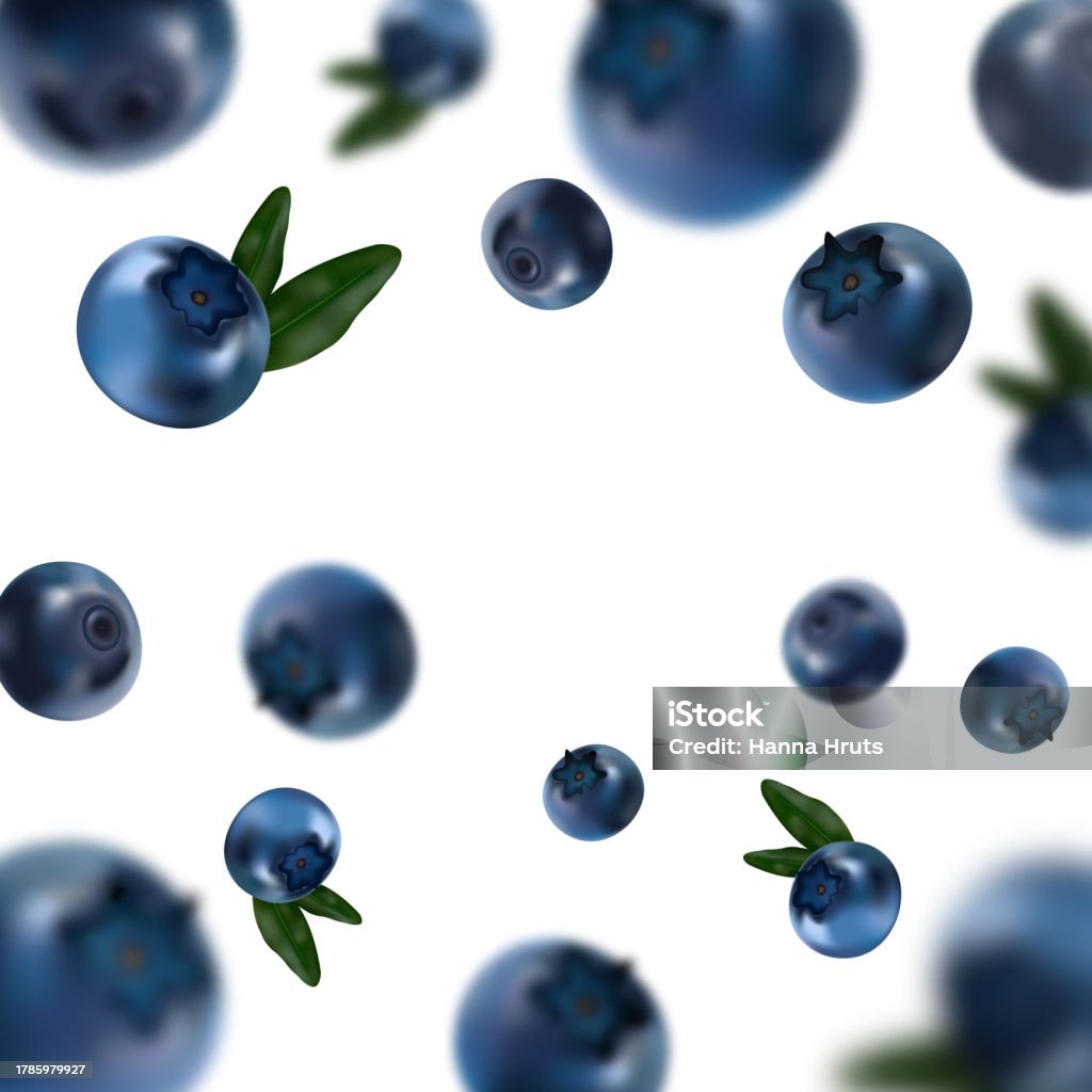 Blue Raspberry's Scattered Scattered Blueberries With Leaves Vector Stock Illustration - Download ...