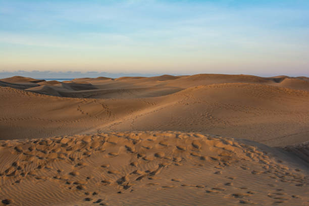 istock Sand dunes of Maspalomas on Gran Canaria in Spain 1785987673