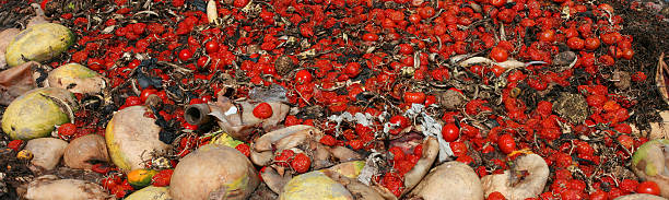 pomidory odpady żywnościowe - garbage food compost unpleasant smell zdjęcia i obrazy z banku zdjęć