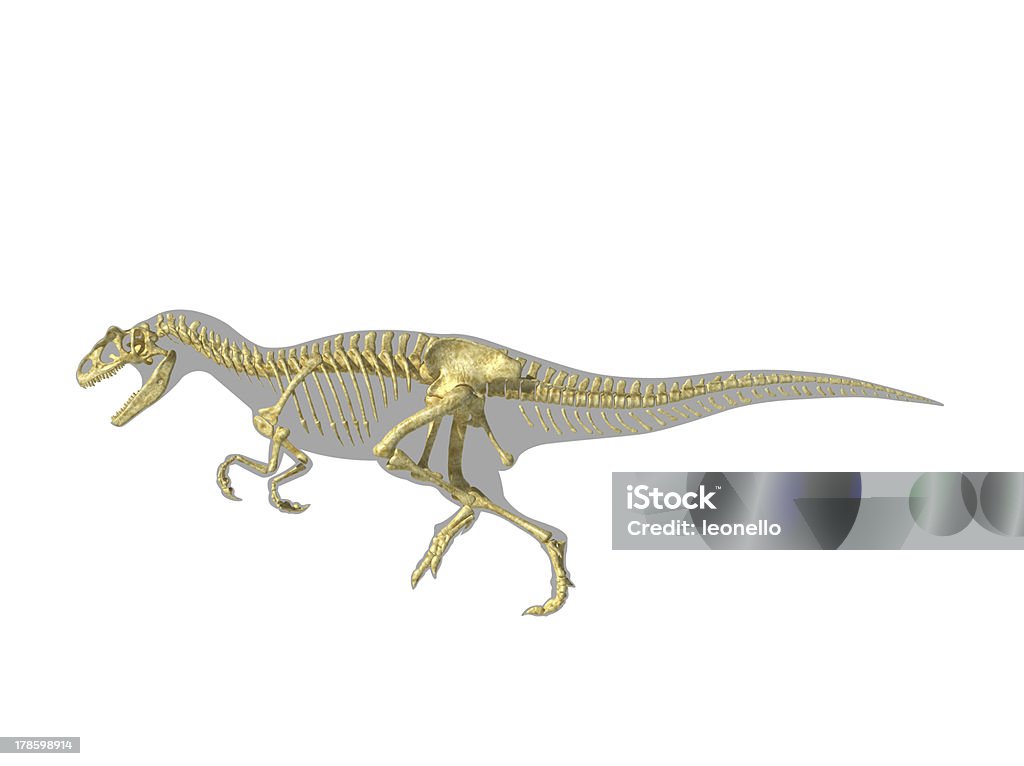 Allosaurus Dinozaur sylwetka z foto-Realistyczne szkieletu. - Zbiór zdjęć royalty-free (Allozaur)