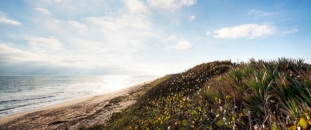 istock Merritt Island Wildlife Refuge 178599532