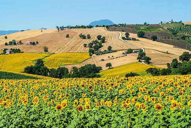 Marches (Italy), landscape stock photo