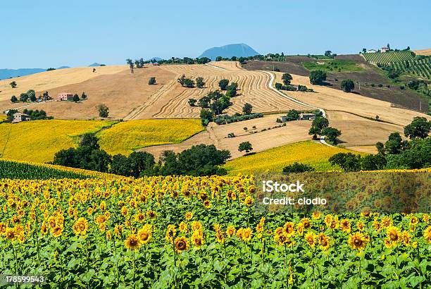 Marches Landscape Stock Photo - Download Image Now - Marche - Italy, Hill, Italy