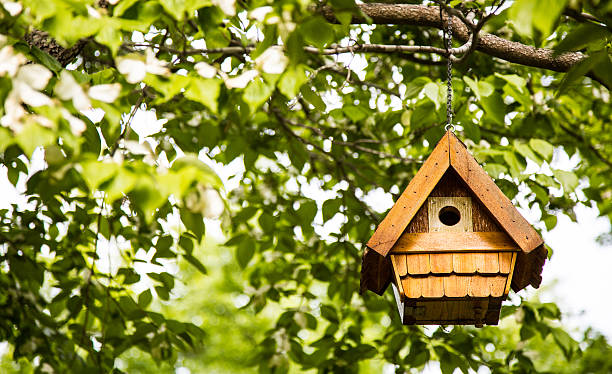 istock Birdhouse in the Garden 178600139