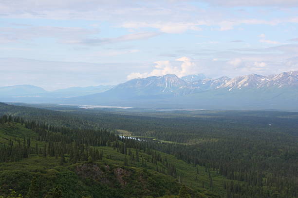 istock Alaska outdoors 178600479