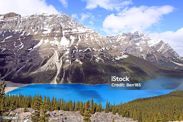 Peyto Lake Stock Photo - Download Image Now - Alberta, Backgrounds, Banff National Park