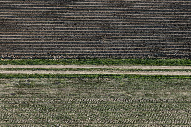 istock Aerial view of a field 178602452