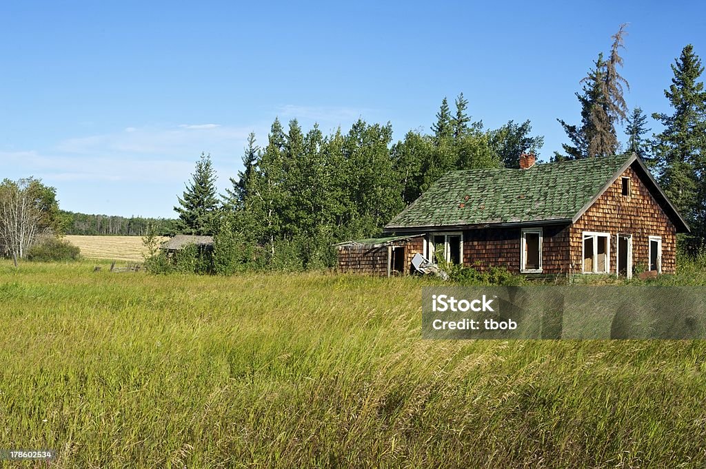 Maison abandonnée dans le champ herbeux - Photo de A l'abandon libre de droits