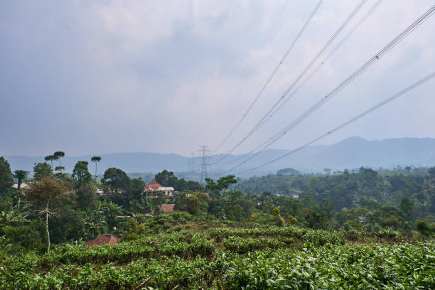 istock High Voltage Power Lines Stretching Across Tea Plantations in the Countryside 1786030751