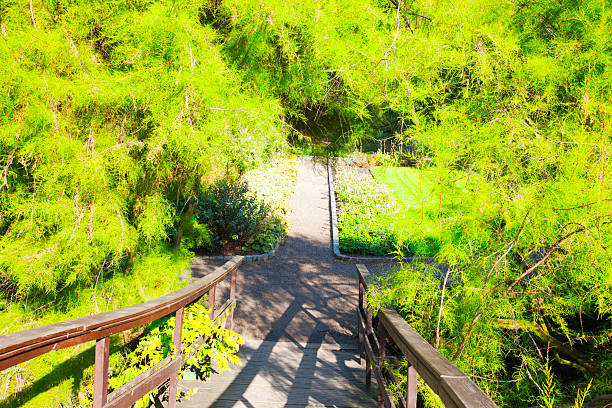 istock Japanese garden in Wroclaw, Poland 178603795