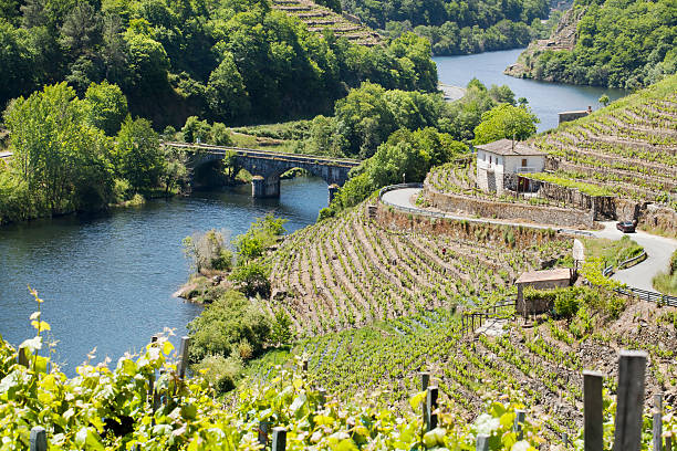 ribeira sacra - ourense province ストックフォトと画像