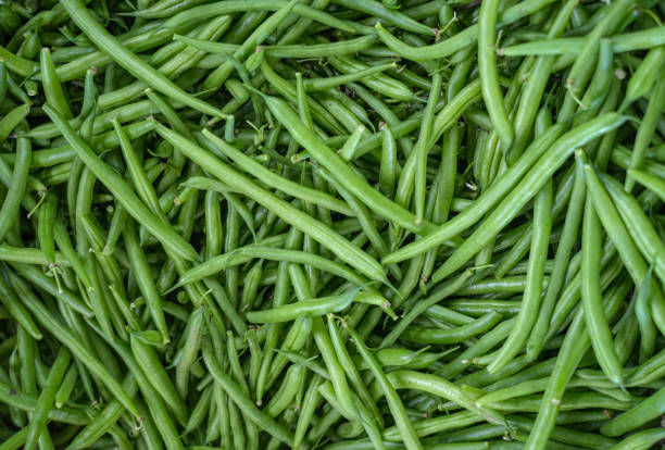 istock close up on green bean pod as food background 1786041344
