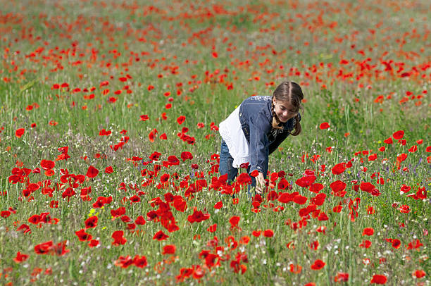 istock Girl with poppies collecting 178604166