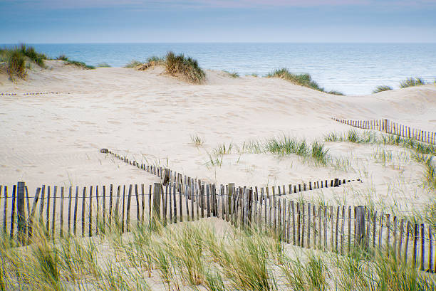 istock Grassy sand dunes landscape at sunrise 178604747