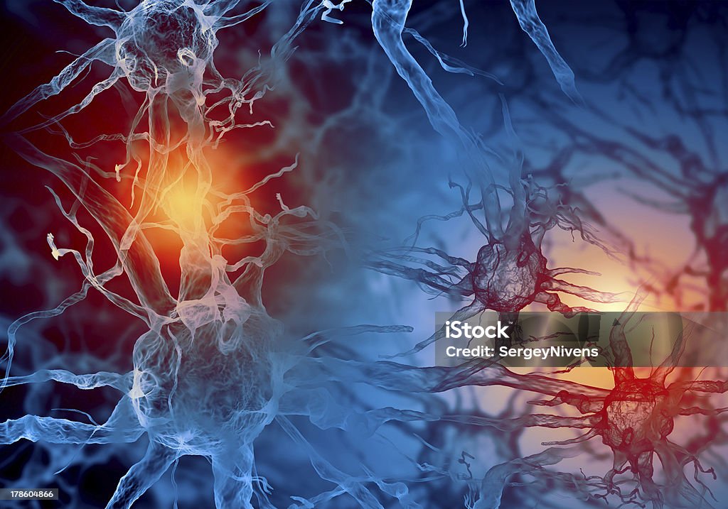 Illustration d'un Neurone - Photo de Hormone libre de droits