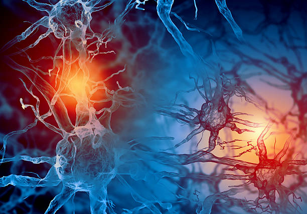 Red and blue illustration of a nerve cell stock photo