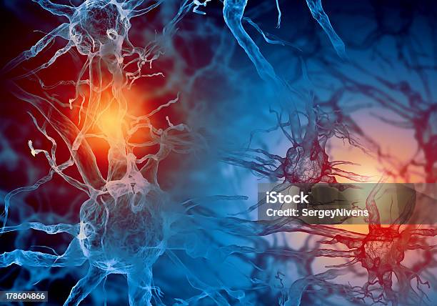 Red And Blue Illustration Of A Nerve Cell Stock Photo - Download Image Now - Hormone, Nerve Cell, Muscular Build
