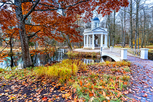 Late autumn landscape with branches of oak tree and abandoned buildings in a public park