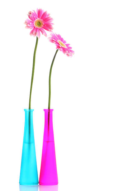 istock Fresh pink gerbera in round vase 178605005