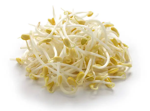 soybean sprouts on a white background