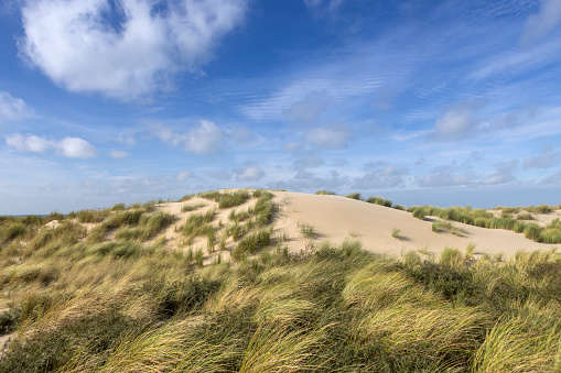 dunes along the coast of The Hague