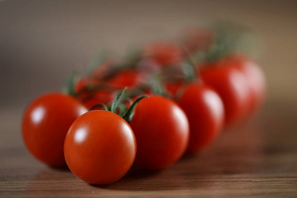Tomates frescos na vinha - foto de acervo